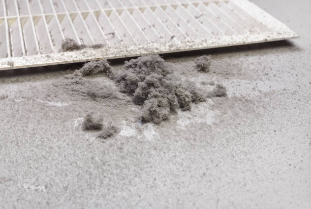 Best Ductwork Cleaning Services  in Newport Beach, CA